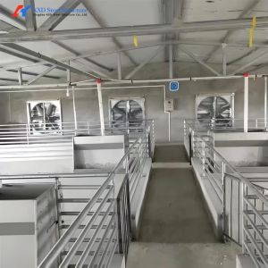 Galvanized Pig Farrowing Crates Piggery Equipment Sow Farrowing Bed
