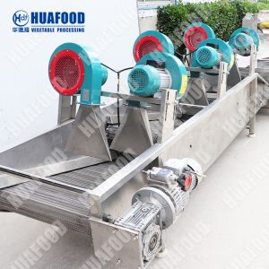 Automatic Vegetable And Fruit Washing Machine Apple Juicer Machine Line