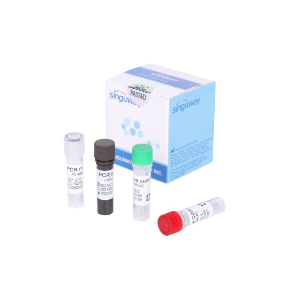 Quality Fluorescent RT PCR Test Kit For Detecting 2019-NCoV Influenza A Virus Influenza B Virus for sale