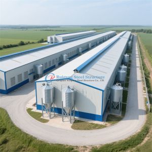 Wholesale Prefabricated Steel Structure Galvanized Poultry House /Chicken Farm Building from china suppliers