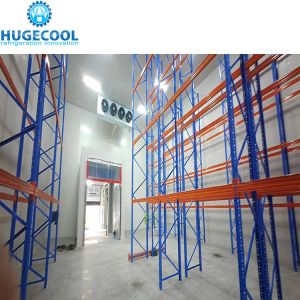 China Provide Meat Freezer Deep Storage Coldroom Fish Blast Freezer for Production Nature on sale
