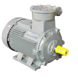 China YE3 series (IE3 GB2) premium efficiency three phase asynchronous motors Speed 1000RPM EX-D-IIB-T4-GB YE3-90S-6 YE3-90L-6 YE3-100L-6 YE3-112M-6 YE3-132S-6 YE3-132M1-6 YE3-132M2-6 YE3-160L-6 on sale