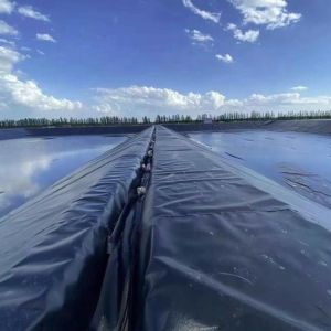 1.0mm HDPE Geomembrane for Fish Pond Width 1-6m Chemical Resistant Black