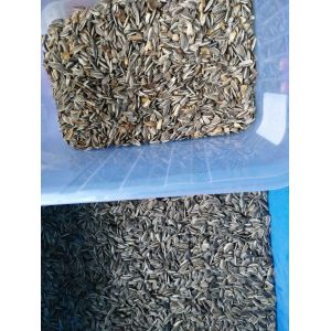 Beans Rice Macadamia Cashew Color Sorter Machine With Advanced Led Light