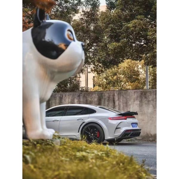 High Quality Carbon Fiber Paramela 971 Carbon Fiber Body Kit Carbon Fiber Body Kit for Porsche Paramela 971