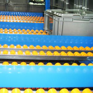 Carton Flow Rack Gravity Roller Racking