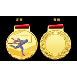 Europe and North America Regional Feature Design Metal Medal with No Minimum