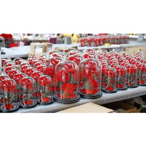 Wholesale Forever Real Rose Everlasting Flower Preserved Fresh Flower Live Enchanted Rose in Glass Dome Cover with Gift Box from china suppliers