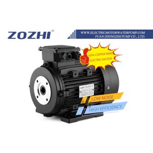 China IE1 IE2 IE3 Efficiency Hollow Shaft Motor with ≥3000h Life Span and 8.8A Current on sale