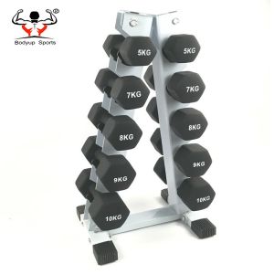 Strength Training Dumbbell For Ladies , Wear Resistant Cast Iron Dumbbells