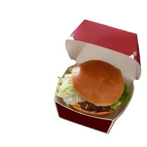 Fast Food Takeaway Customized Biodegradable Burger Paper Packaging Boxes