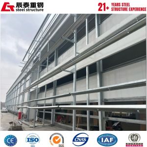 Corrosion-resistant Q355B automated steel structure breeding farm construction