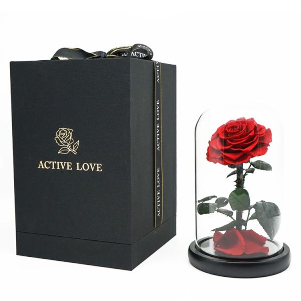 Everlasting Preserved Rose Glass Dome Bring A Unforgettable Experience
