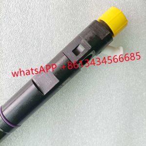 EJBR04701D A6640170021 Delphi Diesel Fuel Injectors EJBR03401D R9144Z090A