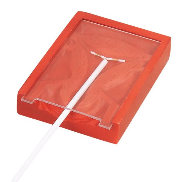 Laterial section female genitals Gynecologic Simulator Intra Uterine Device