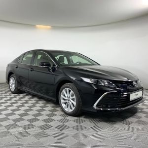 Chinese Electric Cars with 2.0-2.5L Displacement and Manual Copilot Seat