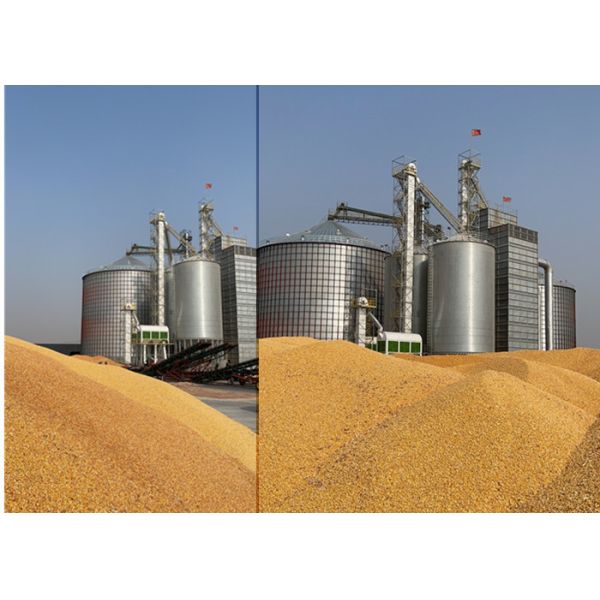 Quality Paddy Safety Grain Corn Dryer Machine To Make 1000T / D 10M for sale