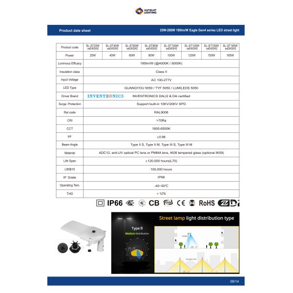 Class II IP66 IK09 190LM/W 100W LED Street Light SAA CB CE ENEC Zhaga-D4i Approved 10 Years Warranty Public Lighting