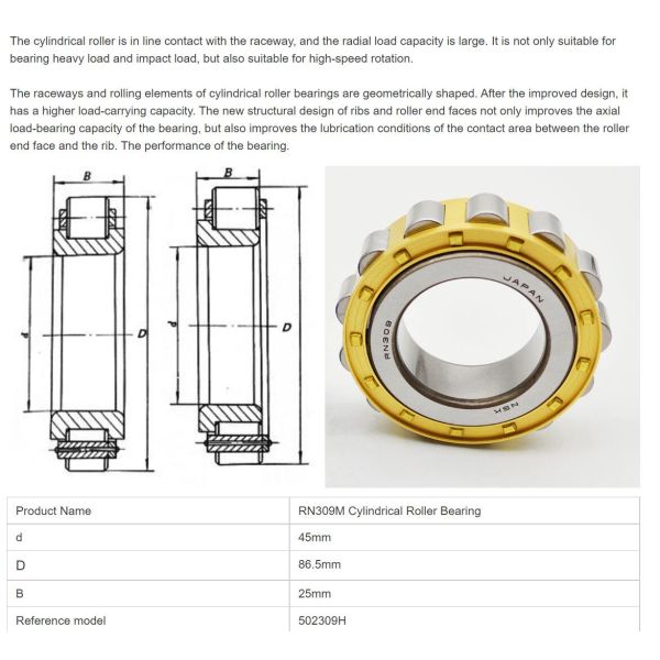 NSK Eccentric Bearing RN309M