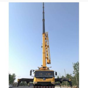30t Tier V Hydraulic Jib telescopic crane truck 462 Lbs for Construction