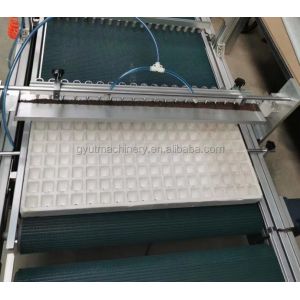 Manufacturing Plant Seeding Vegetable Seeds Sowing Machine with High Survival