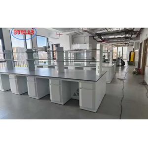 Upgrade Your Lab with Modern and Durable Powder Coating Laboratory Workstation