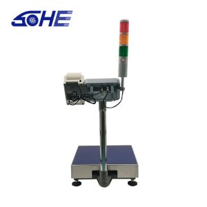 OBM Supported Explosion Proof Electronic Alarm Printing Bench Scale with LED LCD