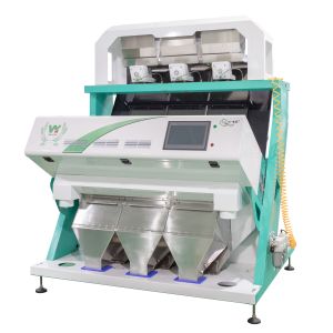 Wenyao Intelligent High Sorting Accuracy Pecan Color Sorter Machine Multi