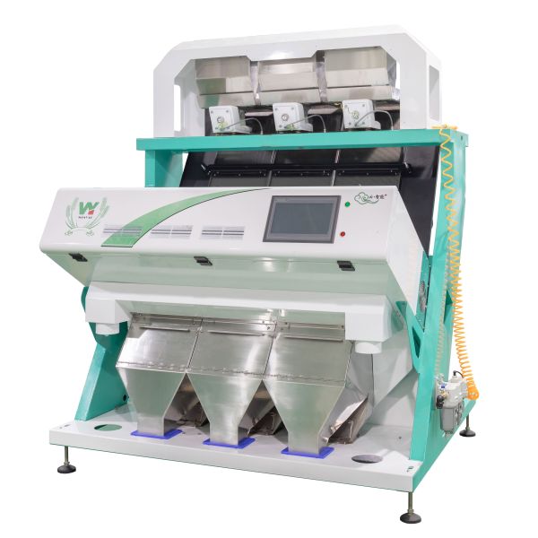 Wenyao Intelligent High Sorting Accuracy Pecan Color Sorter Machine Multi