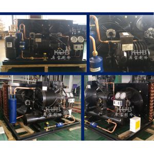 BFS51 Reliable Cold Room Semi-hermetic Compressor Condensing Unit Cold Storage