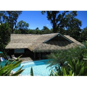 Customized Fireproof Synthetic Thatch Roof Tiles for Outdoor Customized Solution