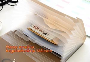 China pp file folder, plastic pp rainbow expanding file organizer folder, desk expander file folder on sale