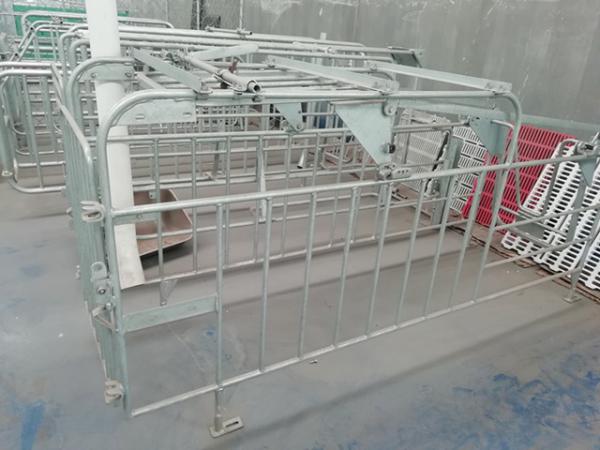 Quality Anti Corrosion Pig Gestation Crates Easy To Assemble And Clean Long Using Life for sale