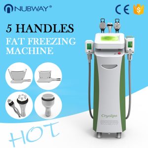 Wholesale Newest-launched!!! The most featured Cryolipolysis Slimming Apparatus Green Vertical from china suppliers