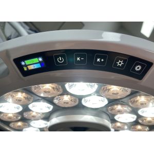 Dual-Head LED Surgical Lamp Ceiling-Mounted Operating Room Light