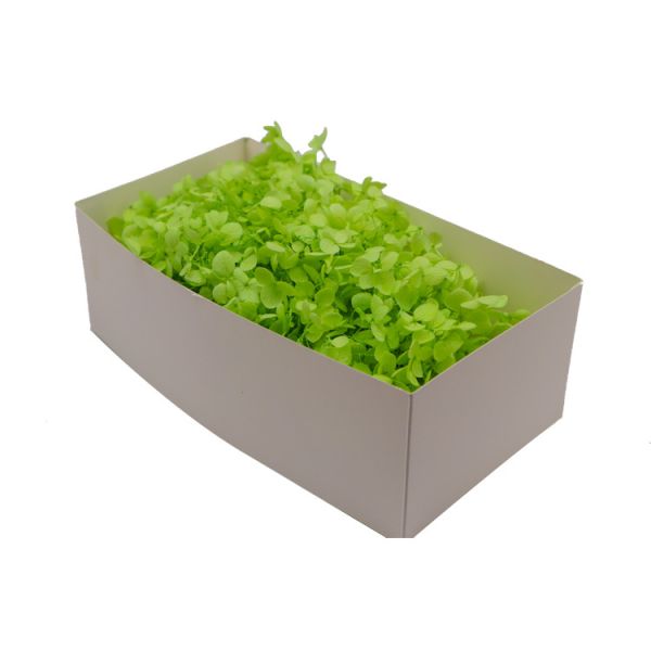 Beautiful multicolored Preserved Flower Hydrangea Bouquet Wholesale Preserved