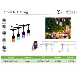 String light(SY-TW01L003WRGB12)