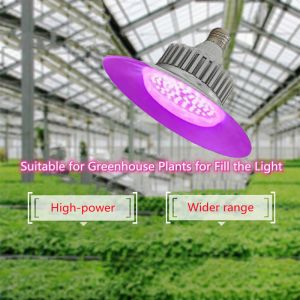 LED Plant Growth Lamp Full Spectrum High Power Complement Lamp