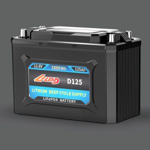12v Lifepo4 Deep Cycle Battery 2000 Cycles FCC ROHS Certificated
