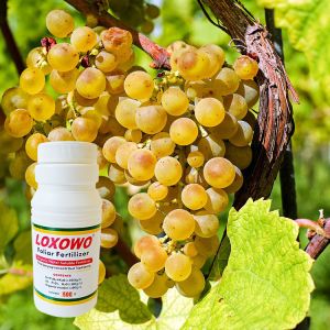 Liquid Organic Soluble Fertilizer Agricultural For Yield Increase