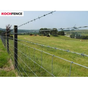Oxidation Resistant Galvanized Barbed Wire Easy Assembled Long Use Life
