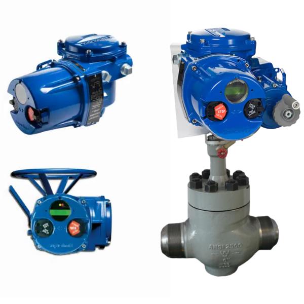 Quality Chinese Electric Air Pressure Flow Control Valve Factory Customized Flowserve Limitoque MX QX Smart Electric Valve Actuator for sale