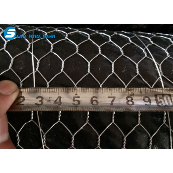 Quality Hot Dipped Chicken Wire mesh/gabion hexagonal wire mesh/hexagonal wire mesh for sale