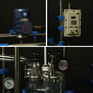 Transparent Gaopeng Jacketed Glass Reactor Vessel Stirred Tank Constant Rotate