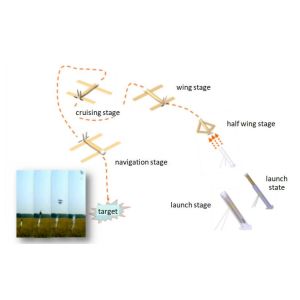Us Army Drone Military Air Strike Long Range Suicide