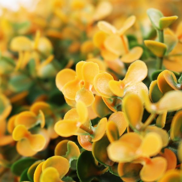 Waterproof Eucalyptus Leaves Artificial Plant Wall Panels Plastic For Indoor Festival Decoration