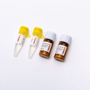 200rxn Lyophilized 2X One Step RT QPCR Master Mix V5007L