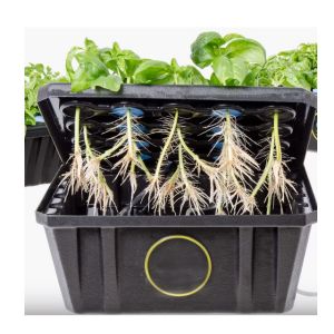 PE Foam Greenhouses Waterproof Cloning Collar Foam