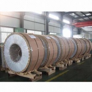 Wholesale ASTM/A409/A409L Cold-rolled Stainless Steel Coil/Roll from china suppliers