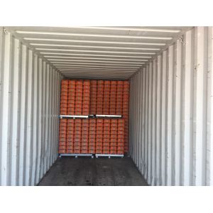 Portable Barriers Fencing / Portable Event Fencing Anti Climb Mesh Infill